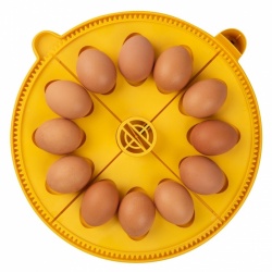 Brinsea Maxi Incubator Large Egg Quadrants - 4 Pack (12 large hen/duck eggs)
